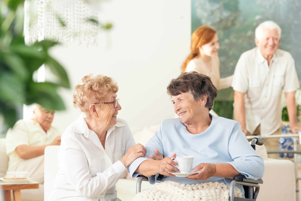 What Works Are Done In Elderly Companion Care